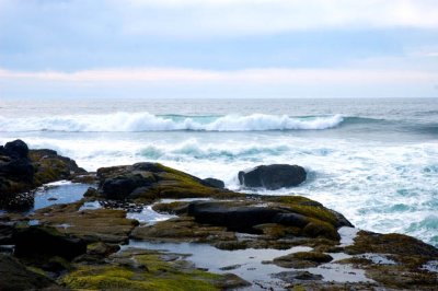 Oregon Coast 1