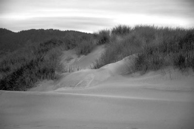 Hills In The Sand