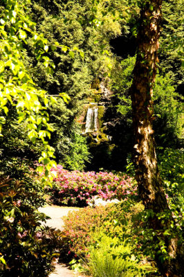 Rhododenron Gardens