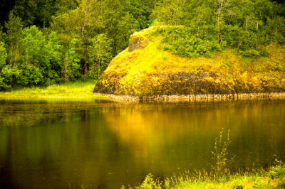A Quiet Place