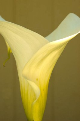 Life Is Fragile