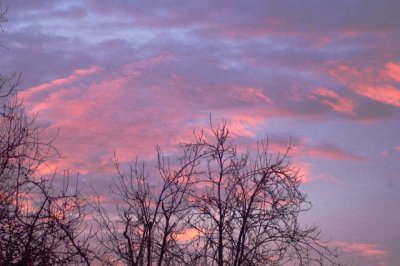A Pink Sunrise