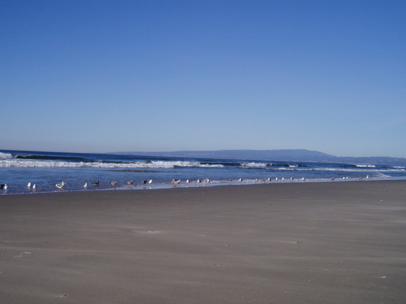 Looking at Santa Cruz; 5 miles north
