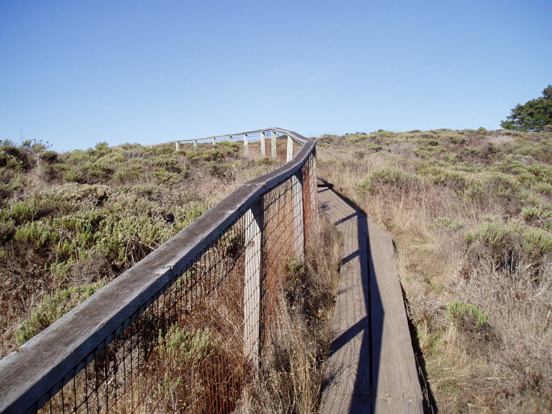Coastal Trail