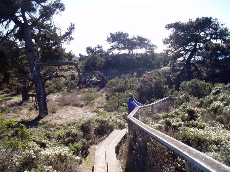 Boardwalk