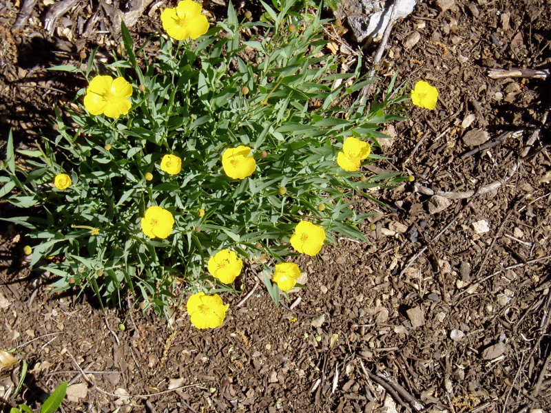 P1010133.JPG