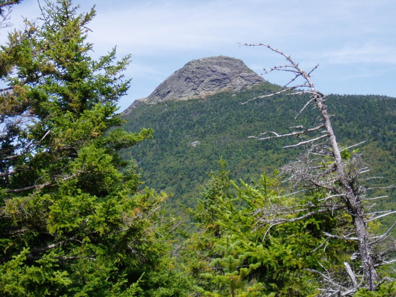 The hump from Forest City Trail.