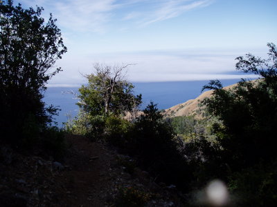 P1010132.JPG