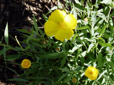 P1010134.JPG