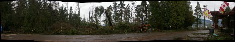 prospect_point_forest1_sm.jpg