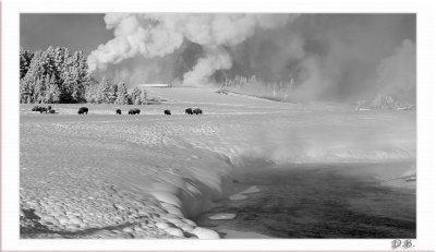 A very cold morning along the Firehole