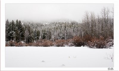 Frozen Sierra Pond