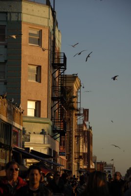 web_4584.jpg