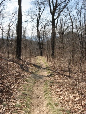 Sweet Trail