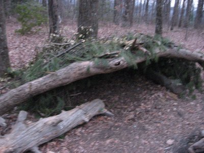 Cool Man-made shelter