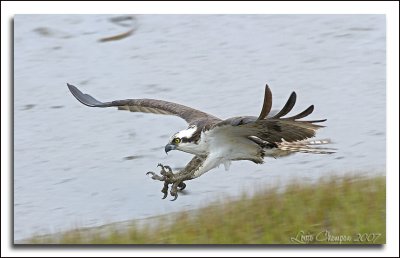 _DSC0173wf.jpg