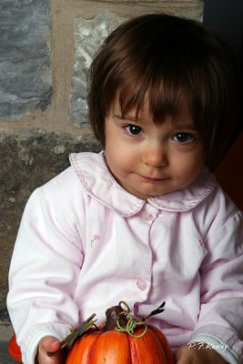 IMG_1016.jpg