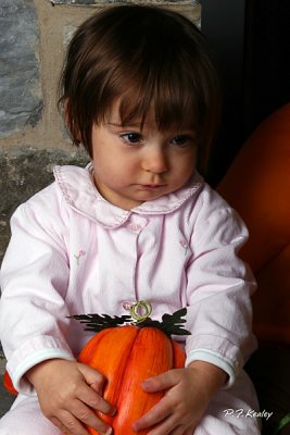 IMG_1017.jpg