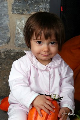 IMG_1018.jpg