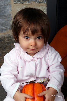 IMG_1019.jpg