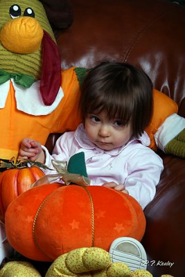 IMG_1021.jpg