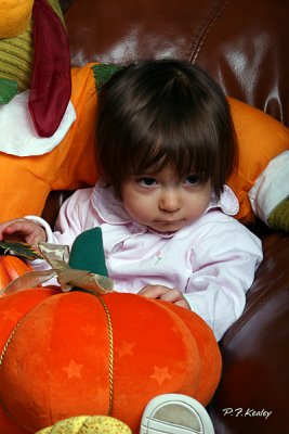 IMG_1022.jpg