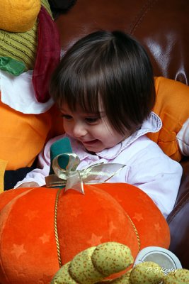 IMG_1024.jpg