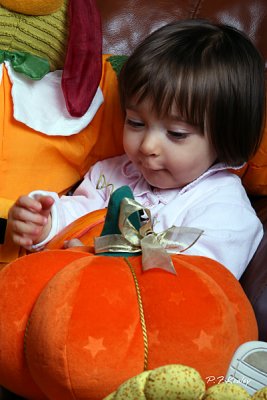 IMG_1025.jpg