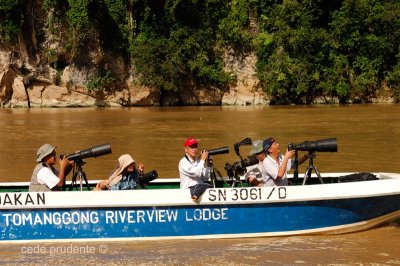 Kinabatangan - Sukau Gun Boat