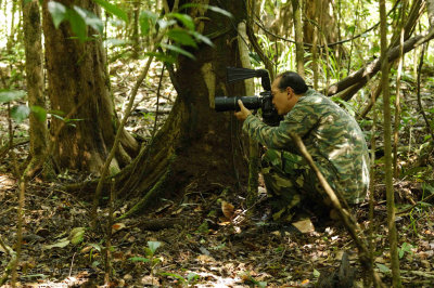 Kinabatangan - Nikon Snipper at Kinabatangan.