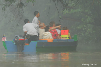 Kinabatangan - Tourist boat in Sukau amid early morning mist.