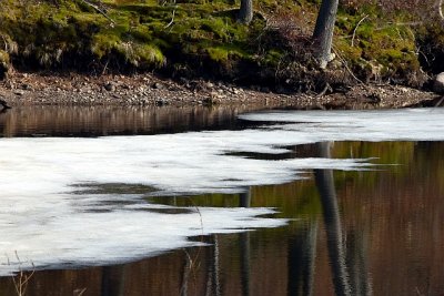 g6/77/588477/3/76457680.2mQswdH1.jpg
