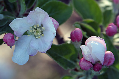 g6/77/588477/3/78908895.hCROgSU5.jpg