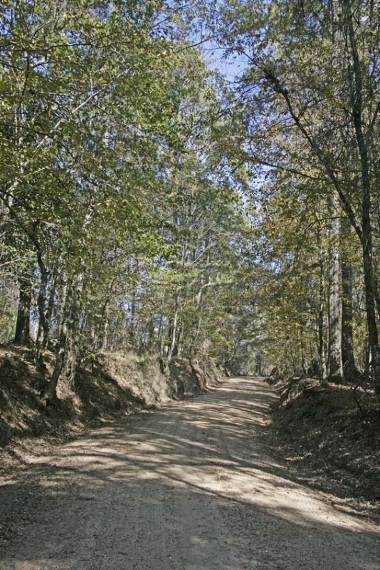 Main Road