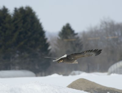 g6/77/648677/3/76102842.tLwm9usz.jpg