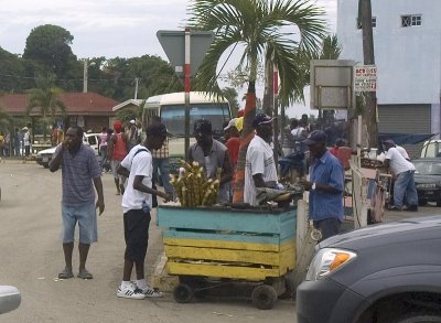 Selling Sugarcane in Lucea