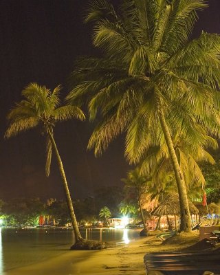 Beach At Night