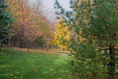 Fall Colours IV