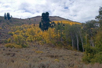 Nevada in the Fall III