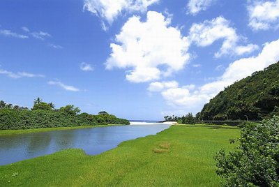 Honolulu Blue Skies