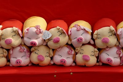 Year of the Pig