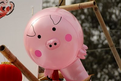 Pigs 011.jpg