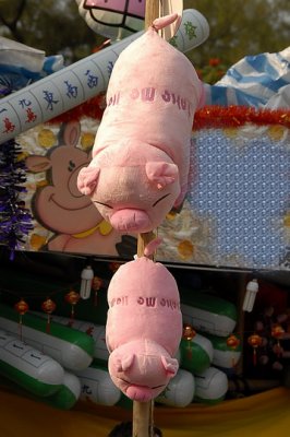 Pigs 036.jpg