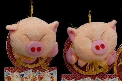 Pigs 050.jpg