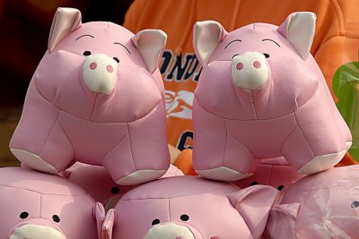 Pigs 051.jpg