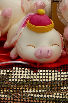 Pigs 073.jpg
