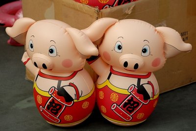 Pigs 074.jpg