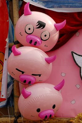 Pigs 111.jpg