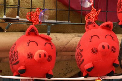 Pigs 113.jpg