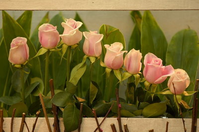 07Flowers 005.jpg